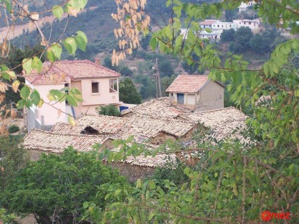 rencontre avec un kabyle